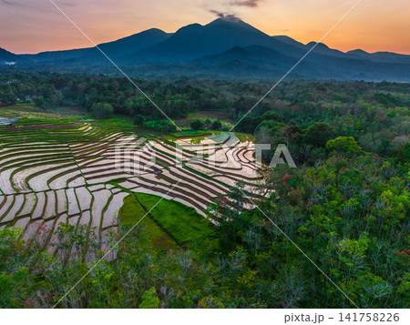 Aerial view of Sapa rice terraces at sunrise with golden light over green fields and misty mountain valleys 141758226