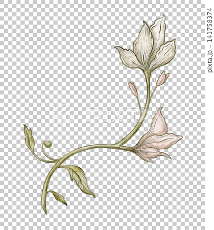Flower watercolor illustration. Botanical blossom isolated on background. Decorative element for wedding invitations, botanical compositions and vintage greeting cards in pastel colors. Flower watercolor illustration. Botanical blossom isolated on background. Decorative element for wedding invitations, botanical compositions and vintage greeting cards in pastel colors. 141758374