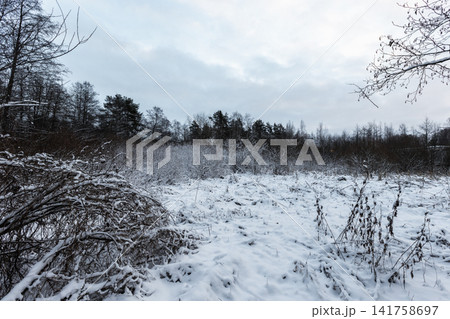 A snow-covered field stretches toward a line of leafless trees 141758697
