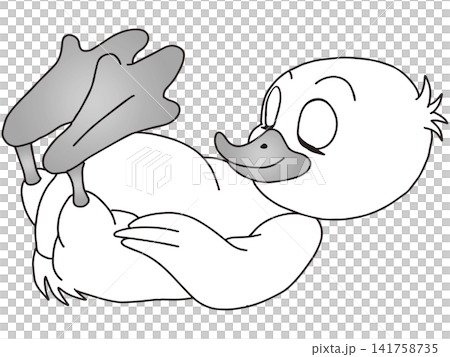 手書き動物イラスト☆白鳥の子 141758735