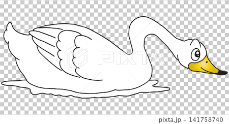 手繪動物插畫☆天鵝 手繪動物插畫☆天鵝 141758740