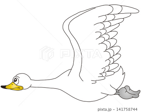 手書き動物イラスト☆白鳥 141758744