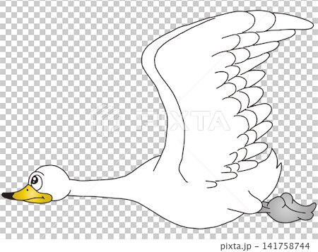 手書き動物イラスト☆白鳥 141758744