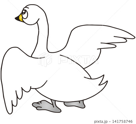 手書き動物イラスト☆白鳥 手書き動物イラスト☆白鳥 141758746