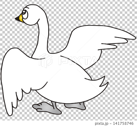 手書き動物イラスト☆白鳥 手書き動物イラスト☆白鳥 141758746