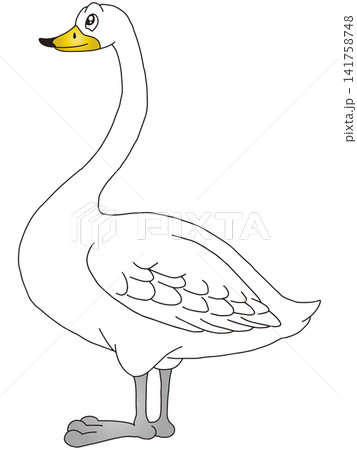 手書き動物イラスト☆白鳥 141758748