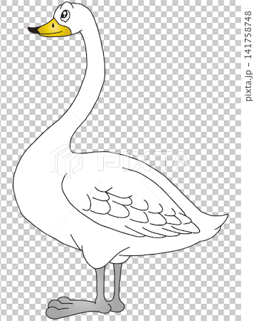 手書き動物イラスト☆白鳥 141758748