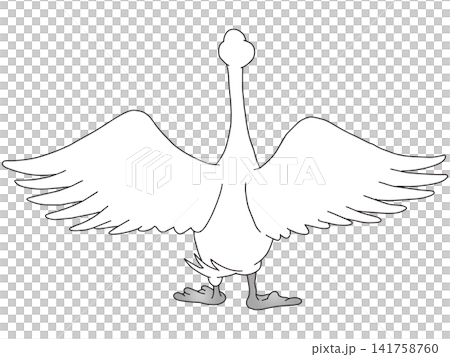 手書き動物イラスト☆白鳥 141758760