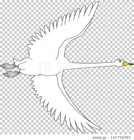 手書き動物イラスト☆白鳥 手書き動物イラスト☆白鳥 141758765