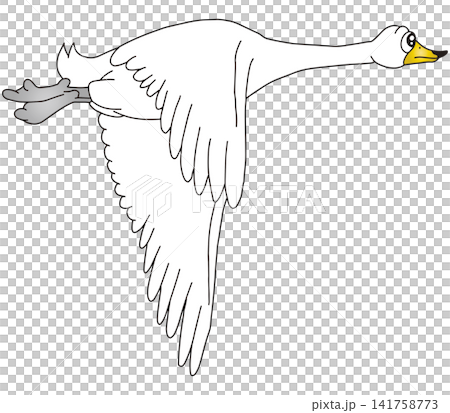 Hand-drawn animal illustration ☆ Swan Hand-drawn animal illustration ☆ Swan 141758773