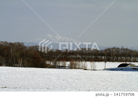 北海道斜里国道沿いの銀世界の農村風景 141759706
