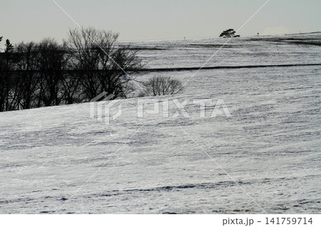 北海道斜里国道沿いのモノトーンの雪景色の風景 141759714