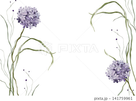 Horizontal Banner watercolor illustration with violet wildflower botanical. Rectangular Frame with hand drawn illustration hydrangea and long thin green grass on isolated background. 141759961