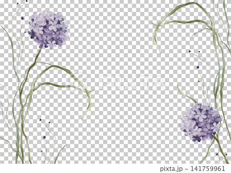 Horizontal Banner watercolor illustration with violet wildflower botanical. Rectangular Frame with hand drawn illustration hydrangea and long thin green grass on isolated background. 141759961