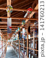 櫛田神社カラフルな風鈴 141760213
