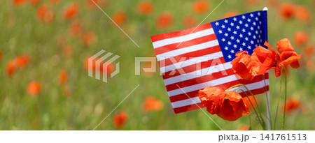 American flag in poppy flower field for Memorial Day 141761513
