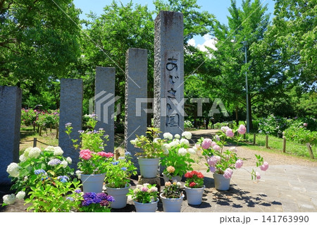蜻蛉池公園 あじさい園 蜻蛉池公園 あじさい園 141763990