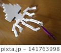 床に置かれた餌木を抱くイカ 141763998