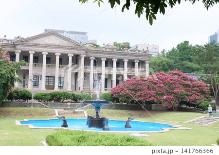 Blooming crape myrtle in front of Western-style palace building in summer 141766366