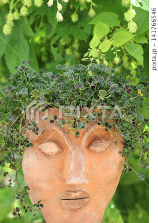 Head Head 141766546