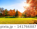 Beautiful autumn landscape featuring vibrant golden and orange trees in a sunny public park under a clear blue sky with sunburst. 141766887