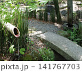 竹が生えた庭 141767703