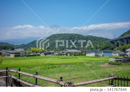 長閑な風景 141767840
