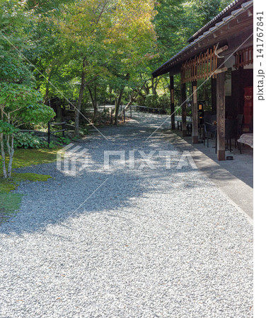 風情のある風景 141767841