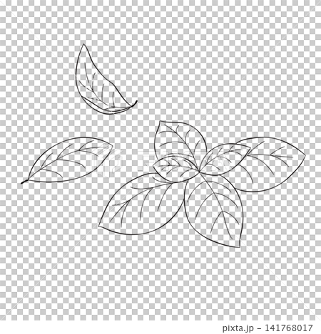 一組西方香草“羅勒”的向量線條藝術迷你插圖。 一組西方香草“羅勒”的向量線條藝術迷你插圖。 141768017