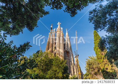Sagrada Familia basilica rising above green trees in Barcelona under dramatic blue summer sky 141768033