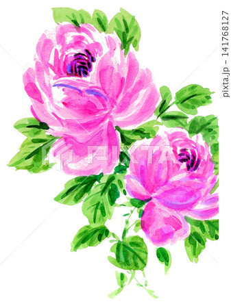 水彩で描いたピンクの薔薇26805pix7 水彩で描いたピンクの薔薇26805pix7 141768127