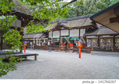 京都 下鴨神社 河合神社 京都 下鴨神社 河合神社 141768267