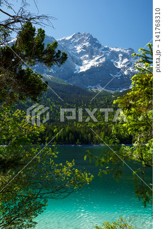 Travel landscape of Zugspitze Alps in Bavaria, Germany, scenic summer nature panorama with forest, Eibsee lake, snow mountains peak. Alpine landscape 141768310