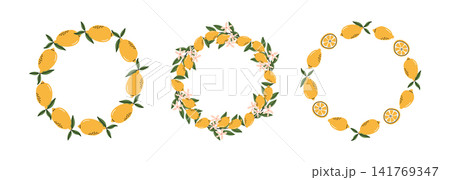 Fresh Yellow Lemon Frame Wreath Set 141769347