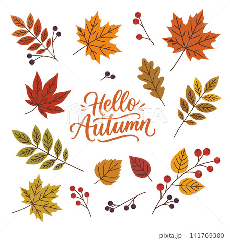 Collection of vibrant autumn leaves and berries with botanical elements. Seasonal hello autumn flat lay illustration for greeting card, invitation design, and festive decoration. Collection of vibrant autumn leaves and berries with botanical elements. Seasonal hello autumn flat lay illustration for greeting card, invitation design, and festive decoration. 141769380