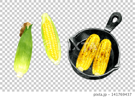 平底鍋烹調的玉米和烤玉米 - 手繪水彩插圖素材 141769437
