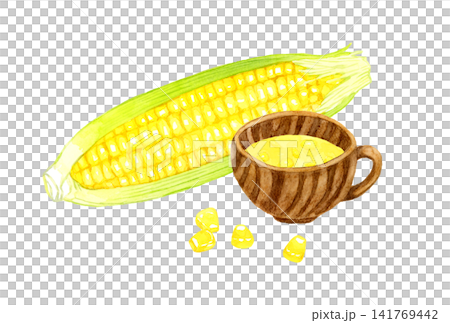 コーンスープとトウモロコシのセット 手描き水彩イラスト素材 コーンスープとトウモロコシのセット 手描き水彩イラスト素材 141769442
