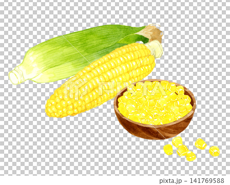 A set of corn and cobcorn served in a salad bowl - hand-drawn watercolor illustration material A set of corn and cobcorn served in a salad bowl - hand-drawn watercolor illustration material 141769588