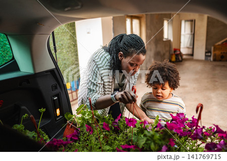Mother and son loading flowering plants into car trunk Mother and son loading flowering plants into car trunk 141769715