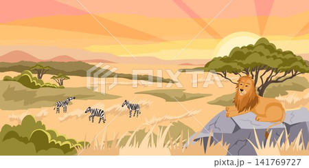 African safari landscape with lion resting on rock and zebras in savanna at sunset. Cartoon hand drawn vector illustration. Wildlife tourism banner and nature travel background 141769727