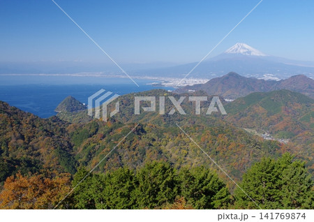 伊豆・葛城山から望む秋の富士 141769874
