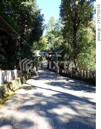 京都　祟道神社　鳥居 141770218