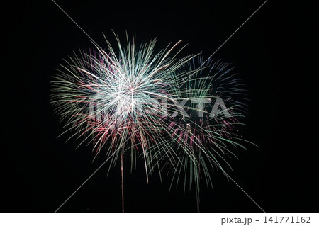 夜空に咲く花火 夜空に咲く花火 141771162