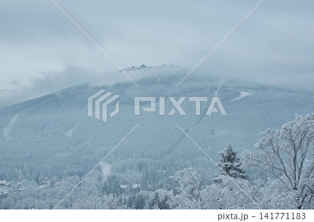 Majestic Winter Mountain Landscape in Fog for Nature Prints and Posters Majestic Winter Mountain Landscape in Fog for Nature Prints and Posters 141771183