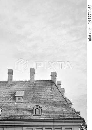 Historic European Architecture: Vintage Rooftop Scene in Black and White 141771186