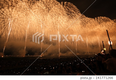 長岡花火2026 フェニックス 長岡花火2026 フェニックス 141771266