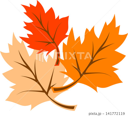 Orange autumn maple leaves set layout template for seasonal fall sale thanksgiving celebration nature greeting card poster banner design Orange autumn maple leaves set layout template for seasonal fall sale thanksgiving celebration nature greeting card poster banner design 141772119