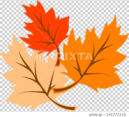 Orange autumn maple leaves set layout template for seasonal fall sale thanksgiving celebration nature greeting card poster banner design Orange autumn maple leaves set layout template for seasonal fall sale thanksgiving celebration nature greeting card poster banner design 141772119