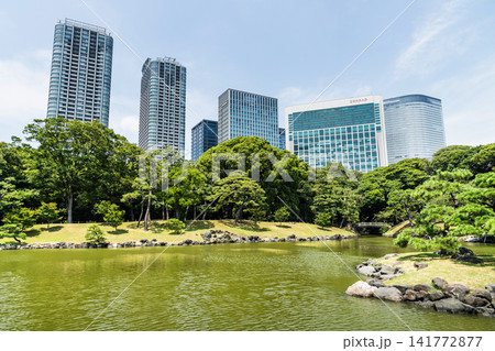 The Shioiri-no-ike (Tidal Pond) of the Hama-rikyu Gardens in Chuo City, Tokyo, Japan, with high-rise buildings near Shiodome. It was formerly the Tokugawa family's villa in the 17th century. The Shioiri-no-ike (Tidal Pond) of the Hama-rikyu Gardens in Chuo City, Tokyo, Japan, with high-rise buildings near Shiodome. It was formerly the Tokugawa family's villa in the 17th century. 141772877