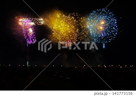 長岡花火大会の花火 141773156